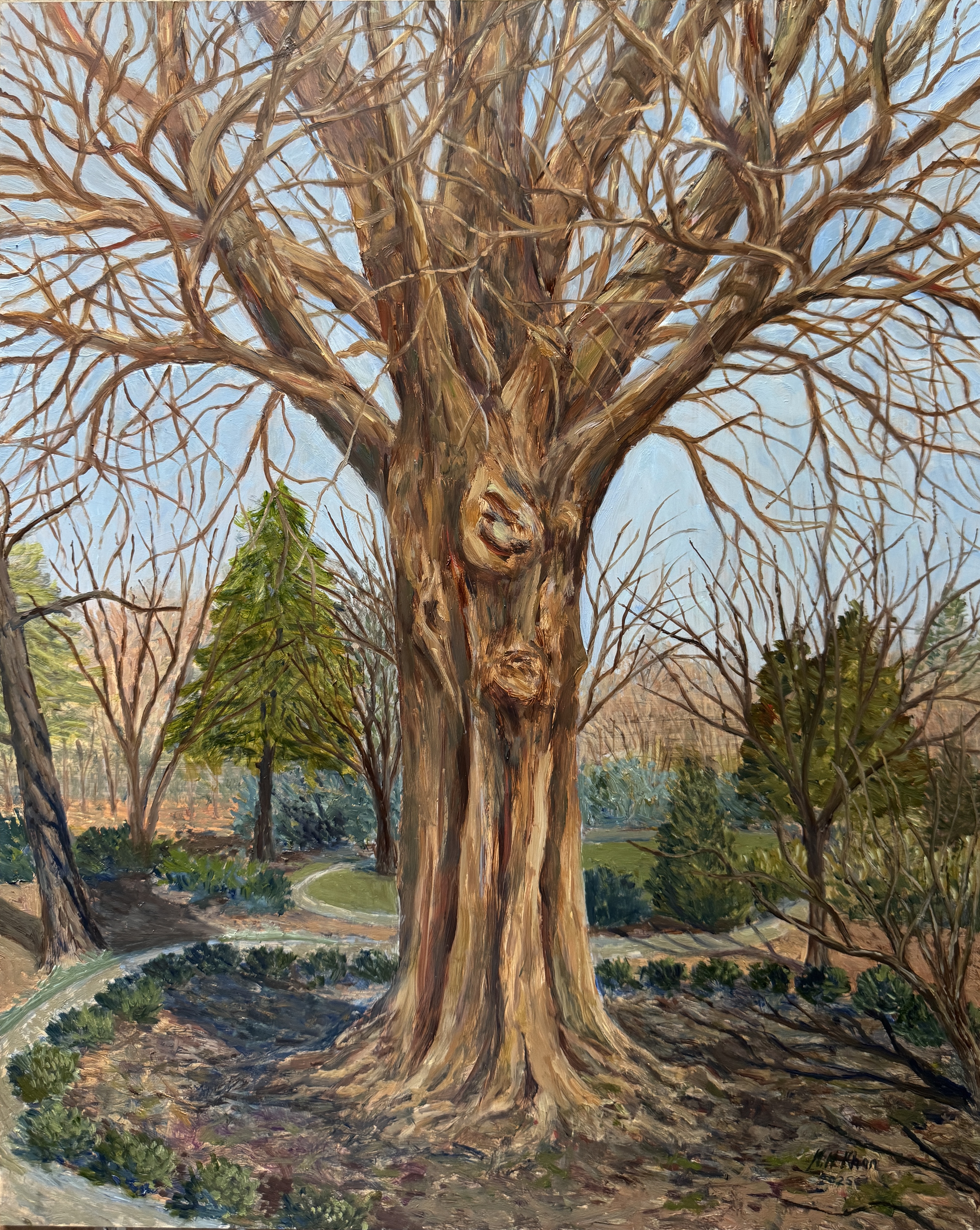 Weaver St. Oak, Carrboro painting